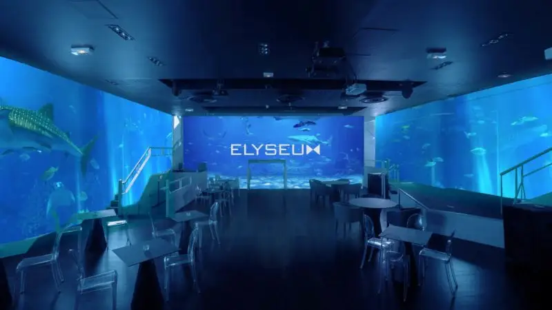 Aquarium Décor Animé